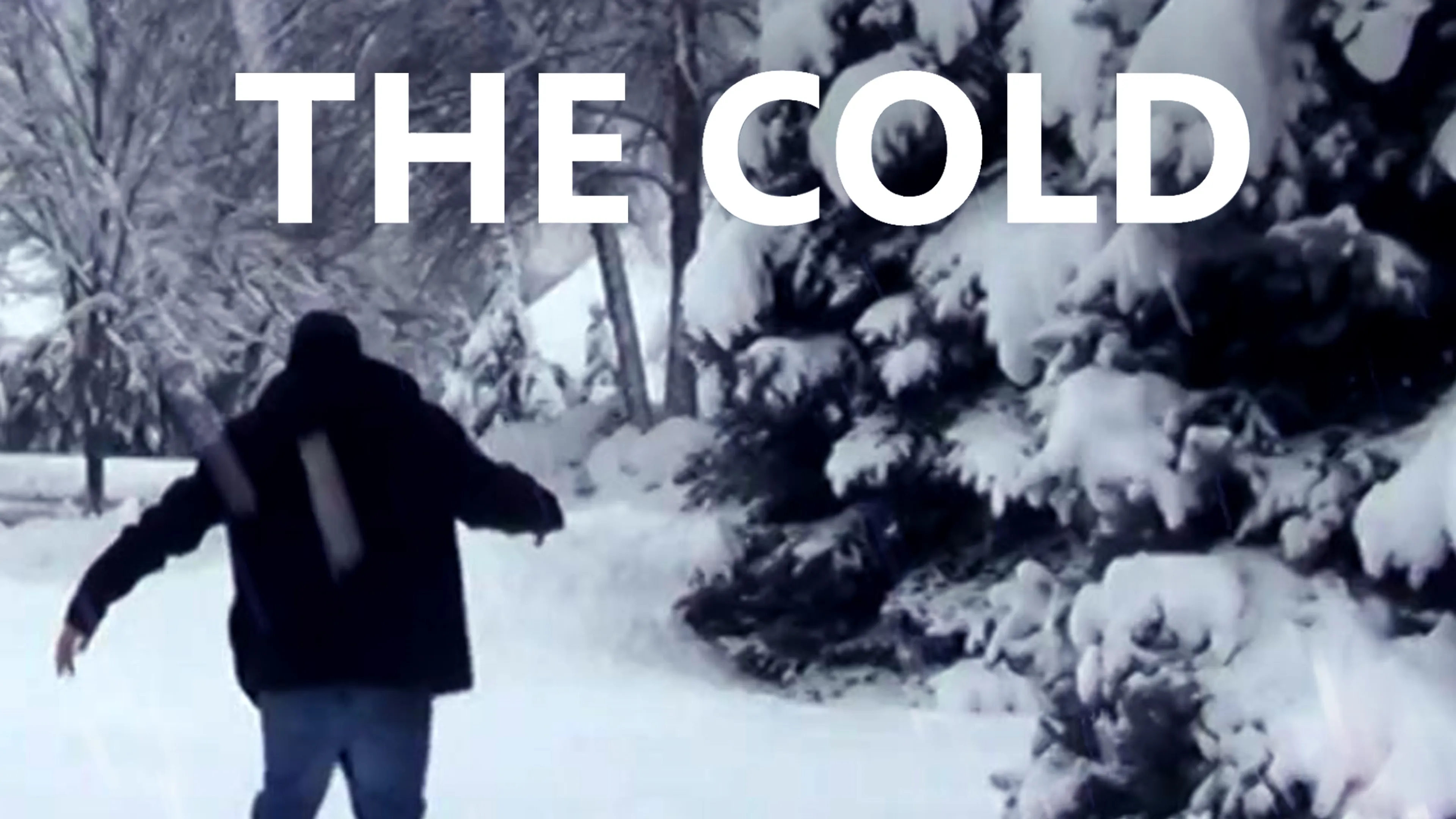 The Cold poster